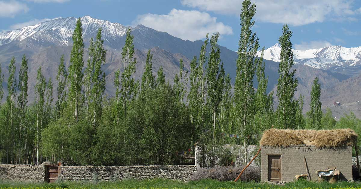 A hamlet in Leh